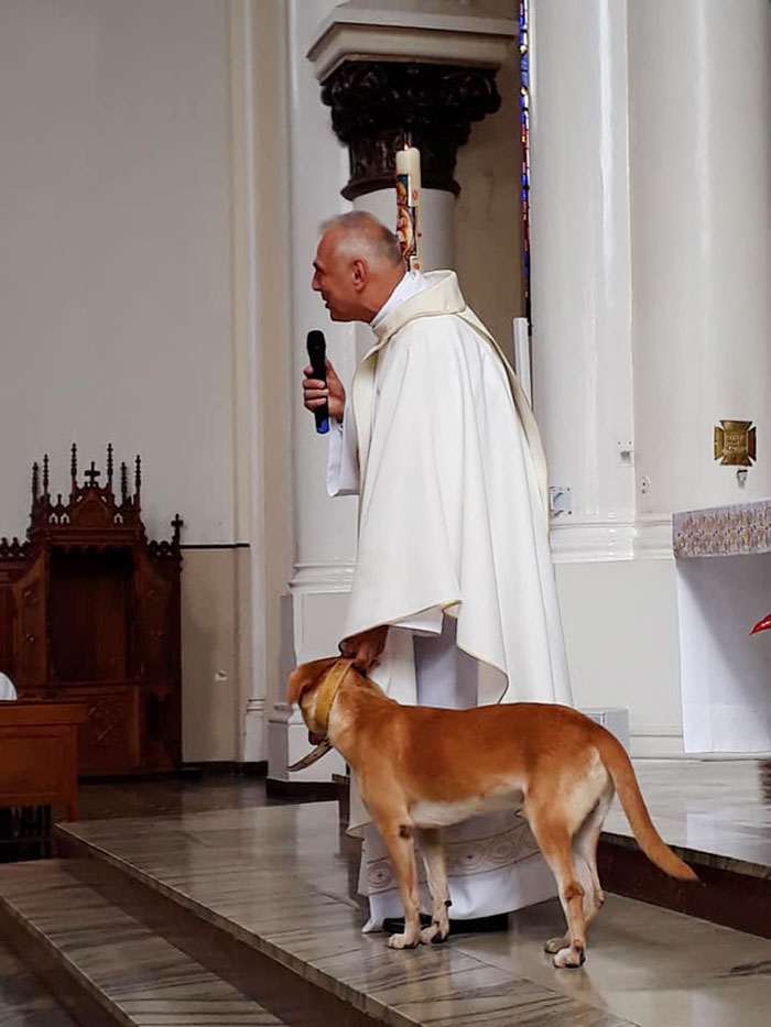Priest Has An Adorable Reaction To A Dog Who Crashed His Church Service