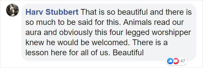 Priest Has An Adorable Reaction To A Dog Who Crashed His Church Service