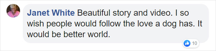 Priest Has An Adorable Reaction To A Dog Who Crashed His Church Service