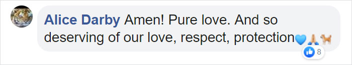 Priest Has An Adorable Reaction To A Dog Who Crashed His Church Service