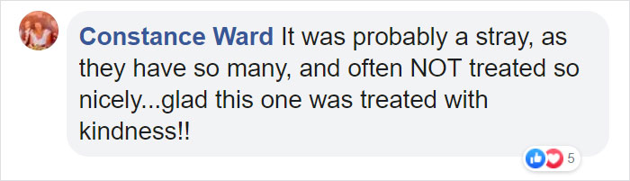 Priest Has An Adorable Reaction To A Dog Who Crashed His Church Service
