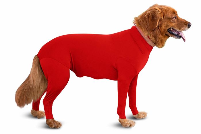 Amazon Is Selling Dog Onesies That Protect Your House From Shedding And Helps Reduce Their Anxiety