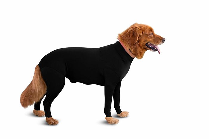 Amazon Is Selling Dog Onesies That Protect Your House From Shedding And Helps Reduce Their Anxiety