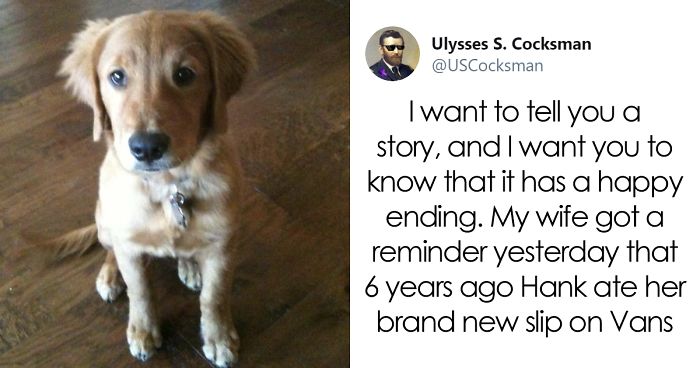 Man Shares A Heartwarming Story About How His Dog Saved His House From Burning Down