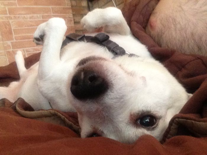 "He Waited There Every Day For 11 Years. I Knew One Day I’ll Come Home And He Won’t Be There" "He Waited There Every Day For 11 Years. I Knew One Day I’ll Come Home And He Won’t Be There"