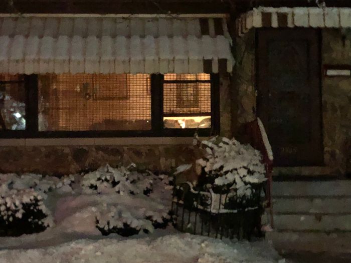 "He Waited There Every Day For 11 Years. I Knew One Day I’ll Come Home And He Won’t Be There" "He Waited There Every Day For 11 Years. I Knew One Day I’ll Come Home And He Won’t Be There"