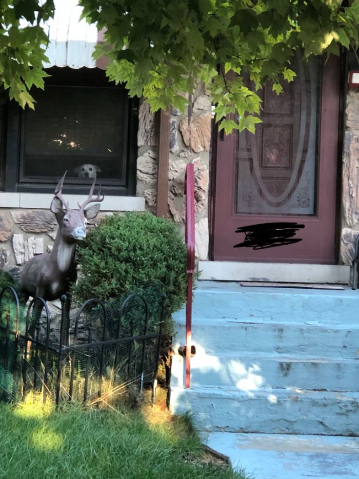 "He Waited There Every Day For 11 Years. I Knew One Day I’ll Come Home And He Won’t Be There" "He Waited There Every Day For 11 Years. I Knew One Day I’ll Come Home And He Won’t Be There"