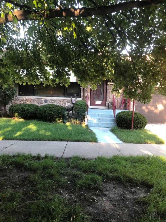 "He Waited There Every Day For 11 Years. I Knew One Day I’ll Come Home And He Won’t Be There" "He Waited There Every Day For 11 Years. I Knew One Day I’ll Come Home And He Won’t Be There"