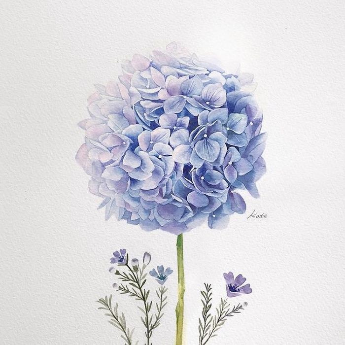 Korean Artist Uploads Step By Step Tutorials On How To Draw Beautiful Flowers Korean Artist Uploads Step By Step Tutorials On How To Draw Beautiful Flowers