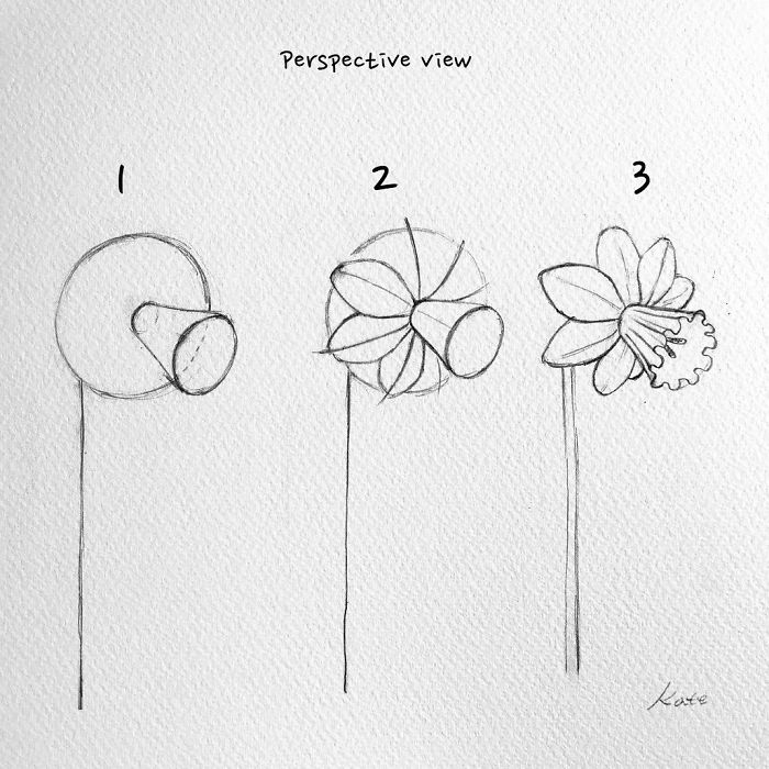 Korean Artist Uploads Step By Step Tutorials On How To Draw Beautiful Flowers Korean Artist Uploads Step By Step Tutorials On How To Draw Beautiful Flowers