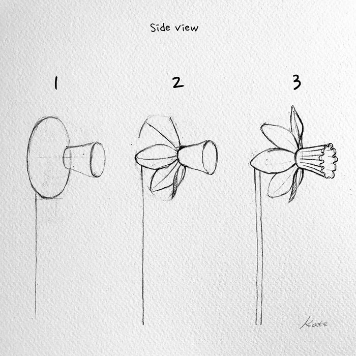 Korean Artist Uploads Step By Step Tutorials On How To Draw Beautiful Flowers Korean Artist Uploads Step By Step Tutorials On How To Draw Beautiful Flowers