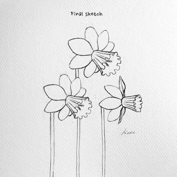Korean Artist Uploads Step By Step Tutorials On How To Draw Beautiful Flowers Korean Artist Uploads Step By Step Tutorials On How To Draw Beautiful Flowers