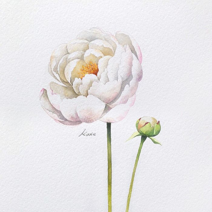 Korean Artist Uploads Step By Step Tutorials On How To Draw Beautiful Flowers