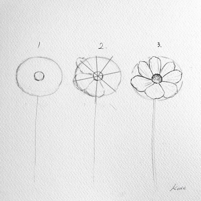 Korean Artist Uploads Step By Step Tutorials On How To Draw Beautiful Flowers