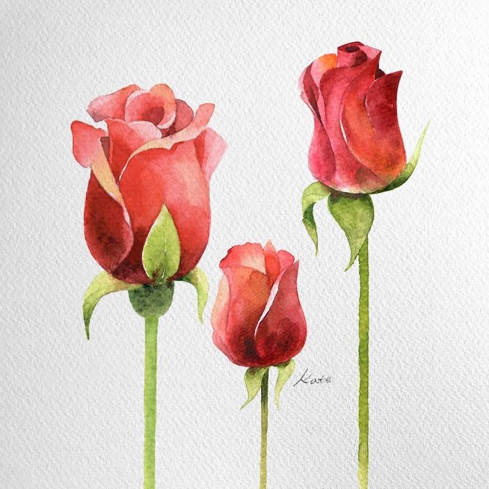 Korean Artist Uploads Step By Step Tutorials On How To Draw Beautiful Flowers