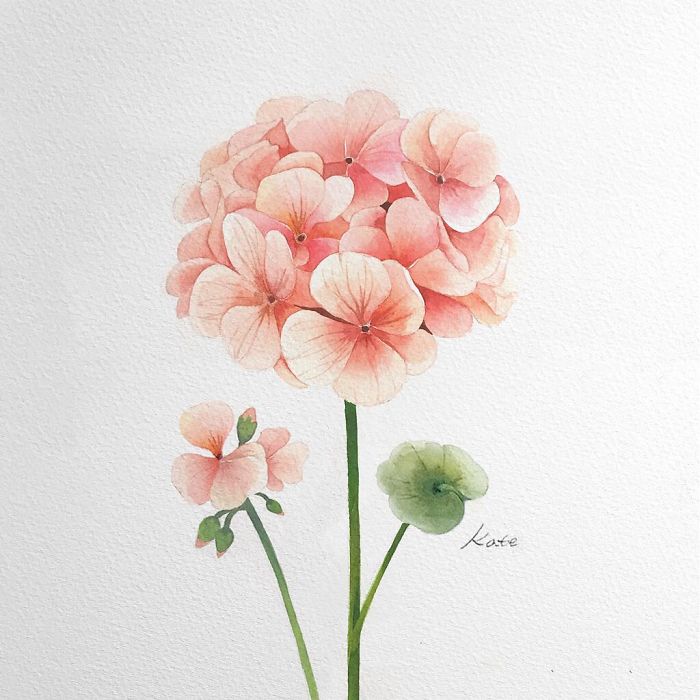 Korean Artist Uploads Step By Step Tutorials On How To Draw Beautiful Flowers
