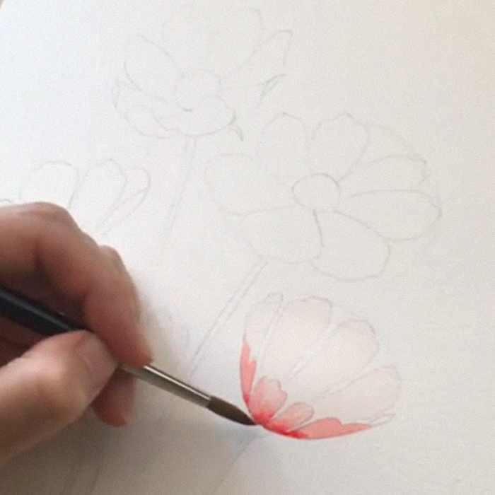 Korean Artist Uploads Step By Step Tutorials On How To Draw Beautiful Flowers Korean Artist Uploads Step By Step Tutorials On How To Draw Beautiful Flowers