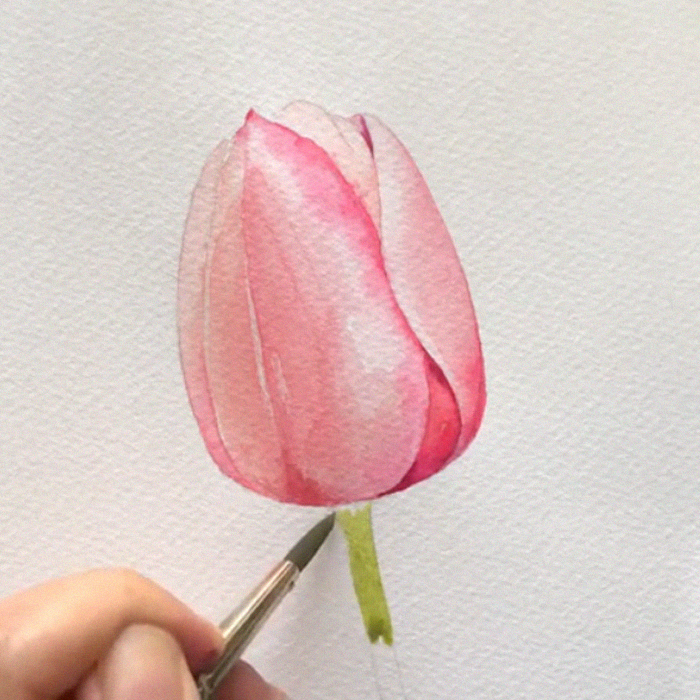 Korean Artist Uploads Step By Step Tutorials On How To Draw Beautiful Flowers Korean Artist Uploads Step By Step Tutorials On How To Draw Beautiful Flowers