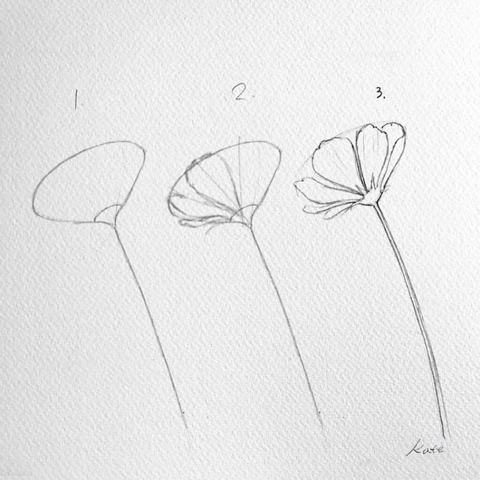 Korean Artist Uploads Step By Step Tutorials On How To Draw Beautiful Flowers Korean Artist Uploads Step By Step Tutorials On How To Draw Beautiful Flowers