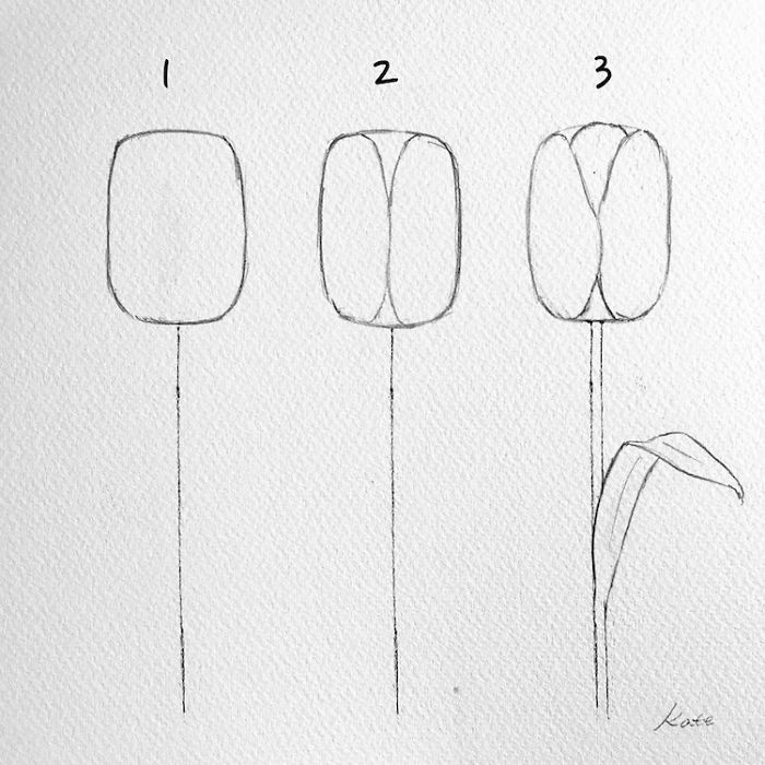 Korean Artist Uploads Step By Step Tutorials On How To Draw Beautiful Flowers