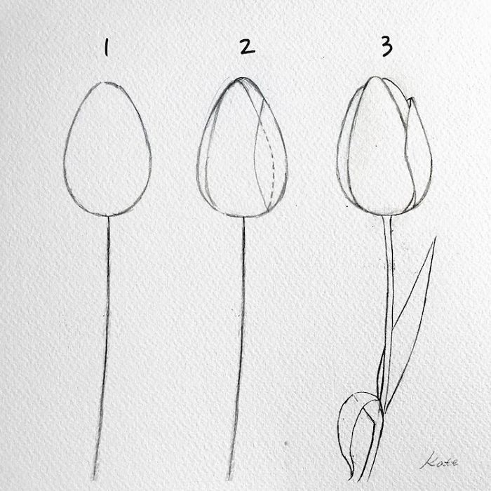 Korean Artist Uploads Step By Step Tutorials On How To Draw Beautiful Flowers