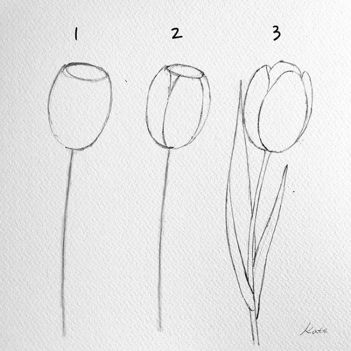 Korean Artist Uploads Step By Step Tutorials On How To Draw Beautiful Flowers