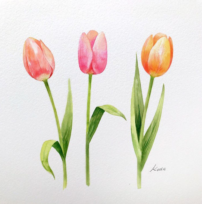 Korean Artist Uploads Step By Step Tutorials On How To Draw Beautiful Flowers