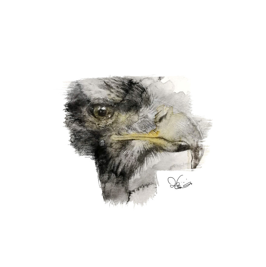 I Started Drawing Animals For First Time In Years And Learned A New Art Style Along The Way