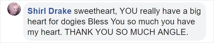 89-Year-Old Woman Has Knitted 450 Blankets For Shelter Dogs, And It's Adorable 89-Year-Old Woman Has Knitted 450 Blankets For Shelter Dogs, And It's Adorable