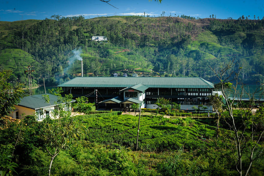 Dunkeld Estate, Hatton