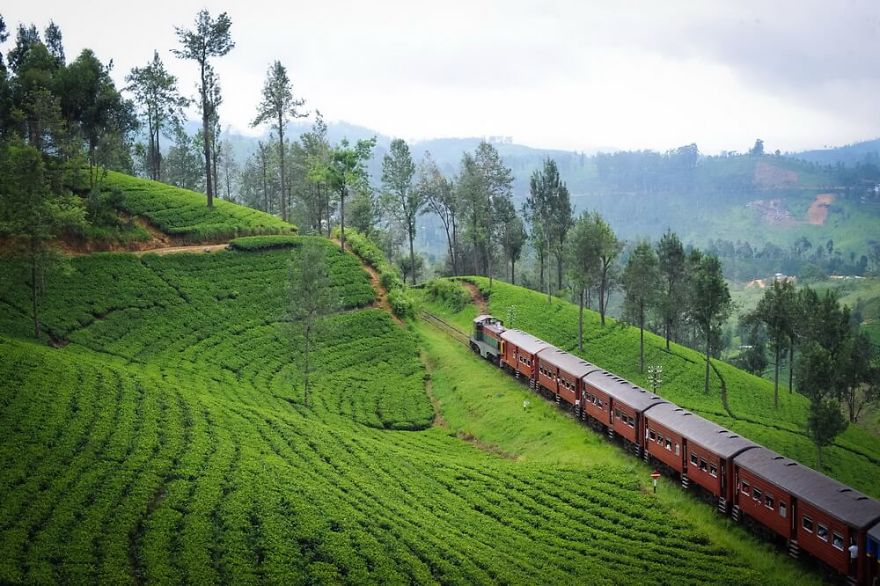 Holyrood Estate, Talawakelle