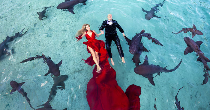 I Brought An Adventurous Couple To Exuma To Swim With Sharks, Pigs, And Stingrays