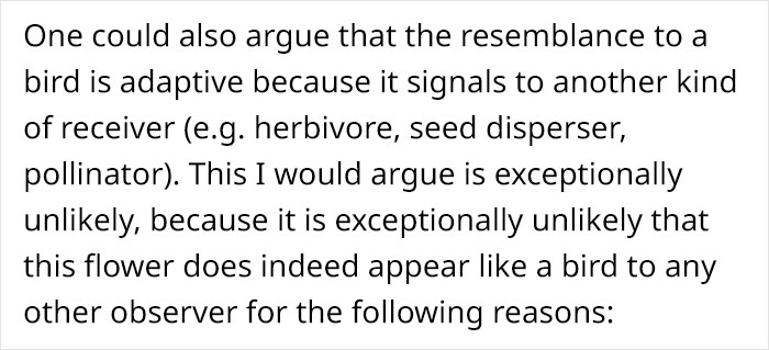 This Flower’s Petals Look Like Hummingbirds