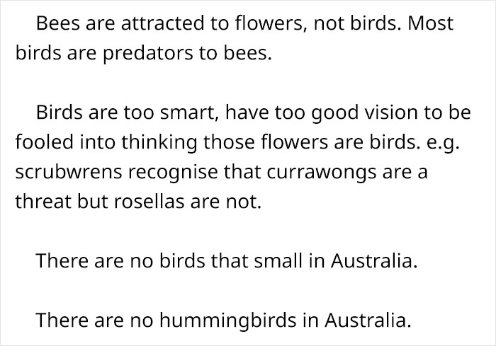 This Flower’s Petals Look Like Hummingbirds This Flower’s Petals Look Like Hummingbirds