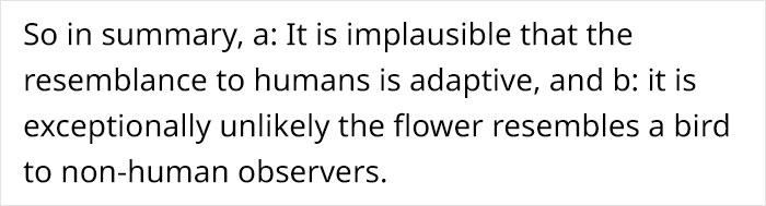 This Flower’s Petals Look Like Hummingbirds