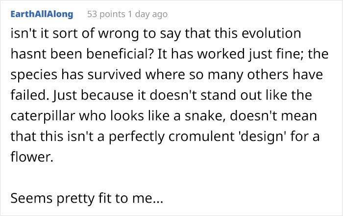 This Flower’s Petals Look Like Hummingbirds