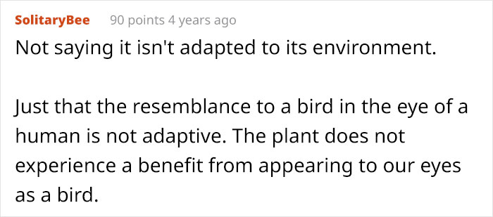 This Flower’s Petals Look Like Hummingbirds This Flower’s Petals Look Like Hummingbirds