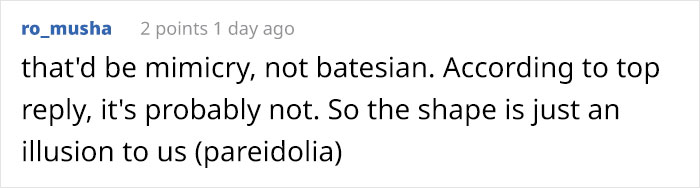 This Flower’s Petals Look Like Hummingbirds This Flower’s Petals Look Like Hummingbirds