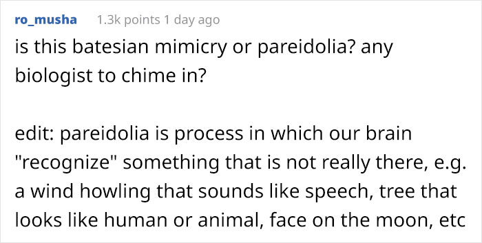 This Flower’s Petals Look Like Hummingbirds