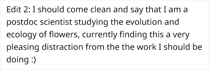 This Flower’s Petals Look Like Hummingbirds This Flower’s Petals Look Like Hummingbirds