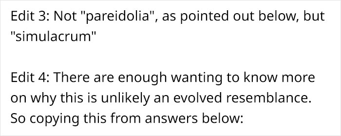 This Flower’s Petals Look Like Hummingbirds