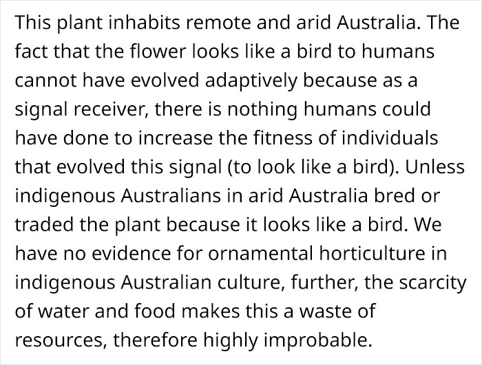 This Flower’s Petals Look Like Hummingbirds This Flower’s Petals Look Like Hummingbirds