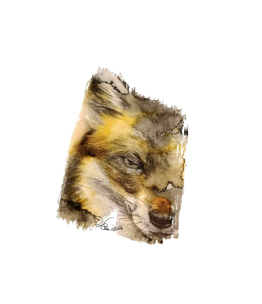 I Started Drawing Animals For First Time In Years And Learned A New Art Style Along The Way