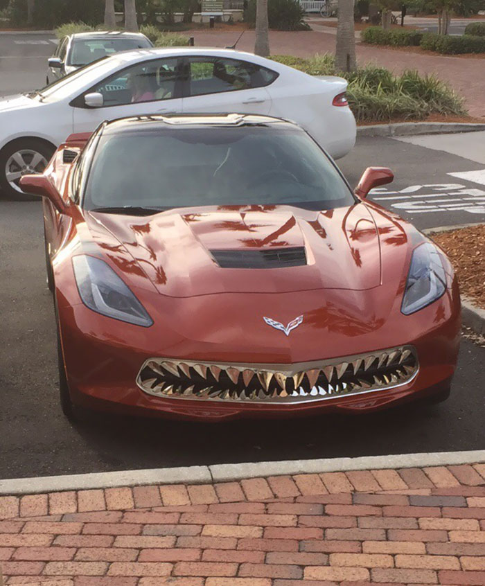 It Looked Great Until I Saw The Front