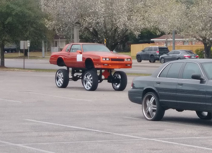 My Sister Saw The Owner Of This Disaster And Reports He Uses A Ladder To Get In