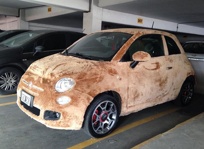 Furry Fiat 500