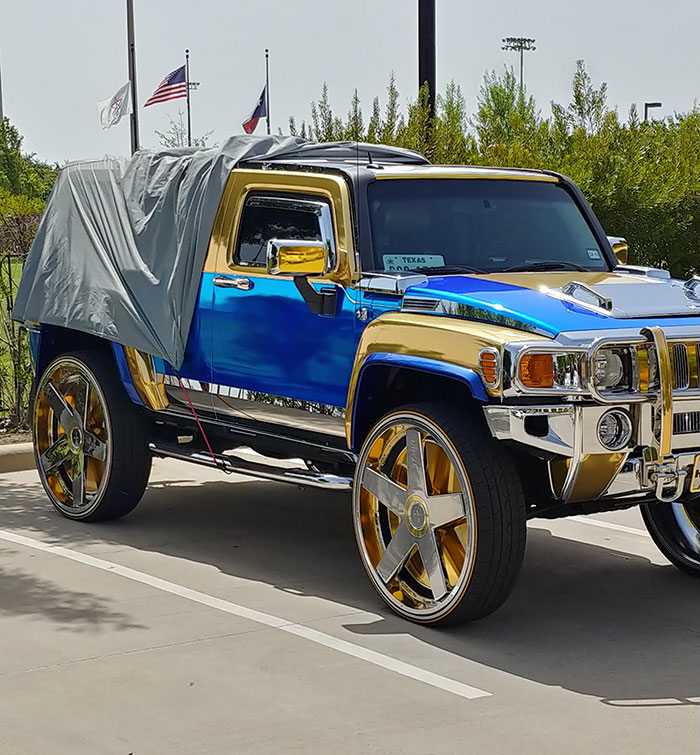 When You Have A Car That's So Beautiful You Have To Cover It From The Unwanted Attention