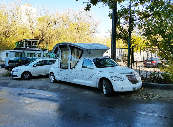 Just This Cinderella Pumpkin