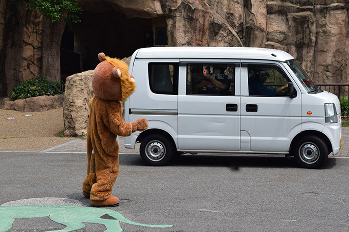Japanese Zoo Escape Drill Goes Viral And People Are Laughing At The Real Lions' Reaction Japanese Zoo Escape Drill Goes Viral And People Are Laughing At The Real Lions' Reaction