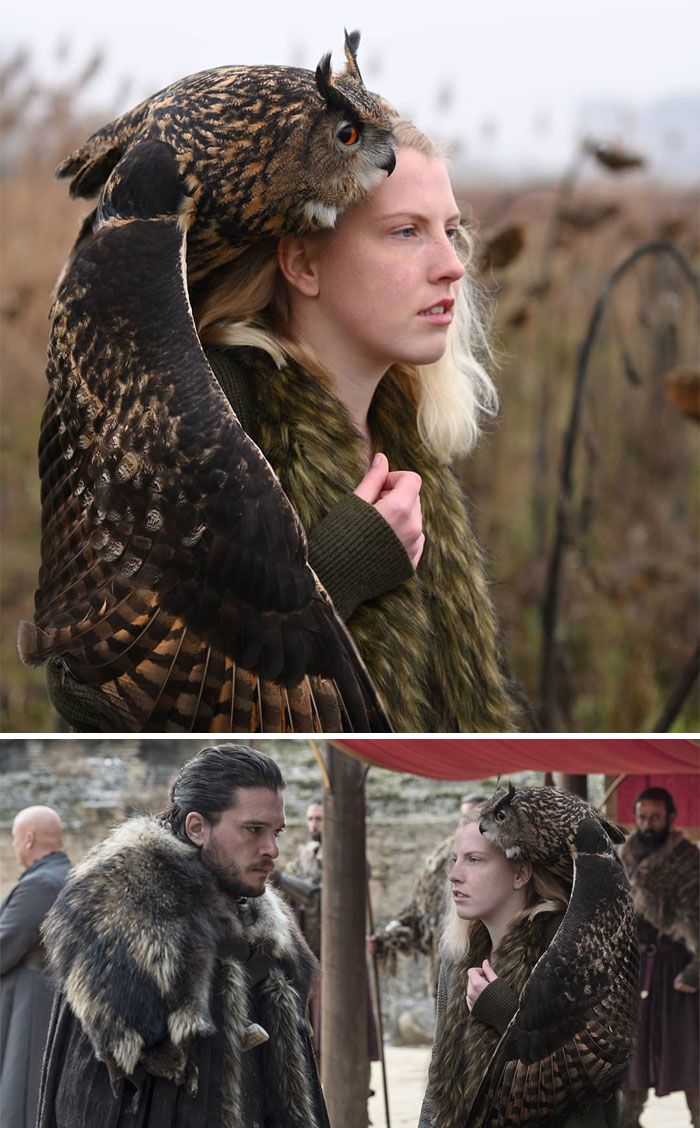 A Girl With Her Owl Companion